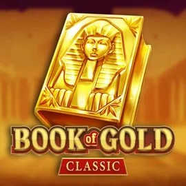 game logo by Playson on kaleocasinoo.com